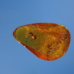 Органічні мінерали